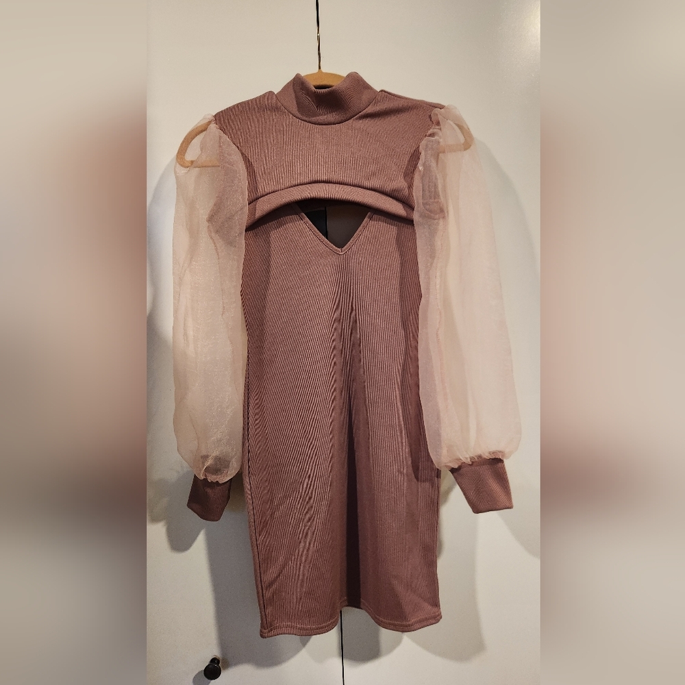 Elegant Mauve Dress with Sheer Sleeves